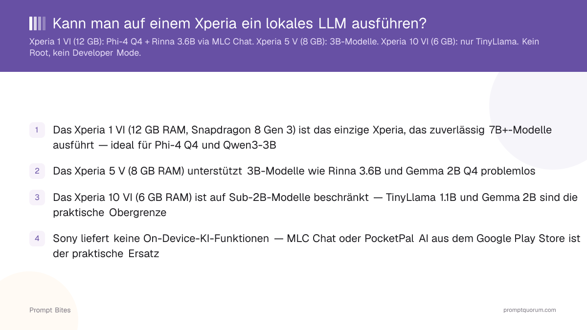 Kann man auf einem Xperia ein lokales LLM ausführen?