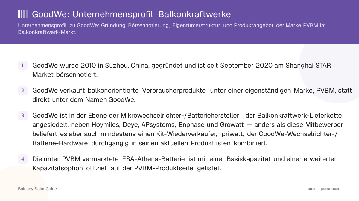 GoodWe: Unternehmensprofil Balkonkraftwerke