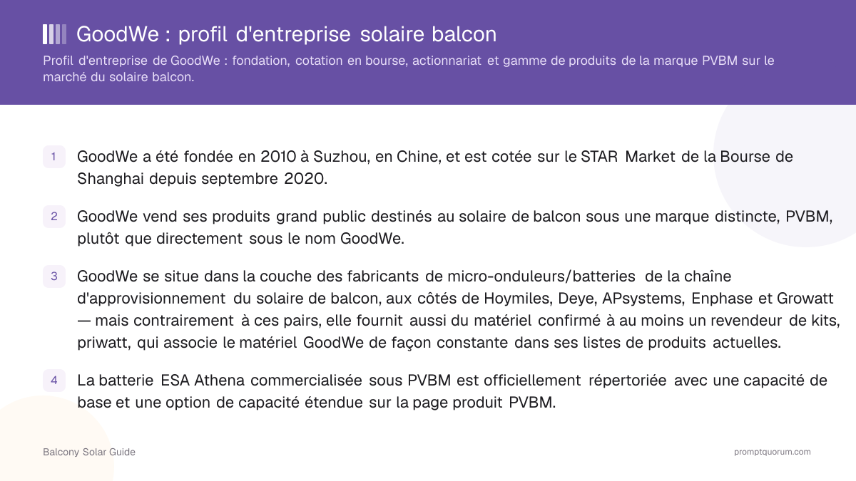 GoodWe : profil d'entreprise solaire balcon