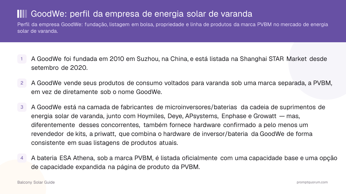 GoodWe: perfil da empresa de energia solar de varanda
