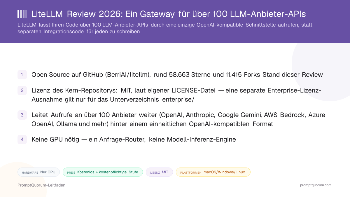 LiteLLM Review 2026: Ein Gateway für über 100 LLM-Anbieter-APIs