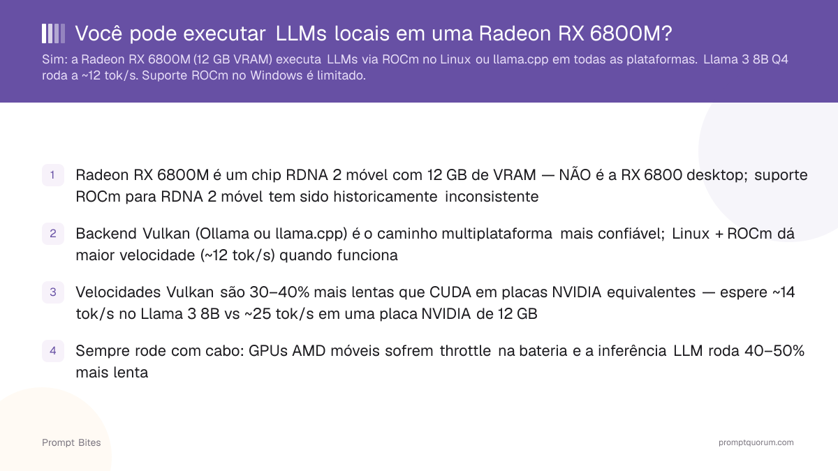 Você pode executar LLMs locais em uma Radeon RX 6800M?