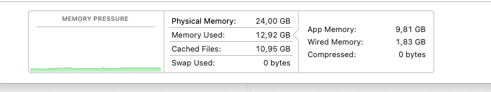 macOS Activity Monitor: physical memory 24.00 GB, memory used 12.92 GB, cached files 10.95 GB, app memory 9.81 GB, wired 1.83 GB, swap 0.